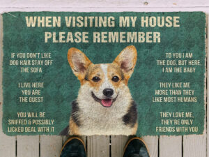 Please Remember Dog’s Rules Doormat | Million Dollar Gift Ideas