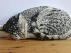 Plush Sleeping Cat Pillow | Million Dollar Gift Ideas