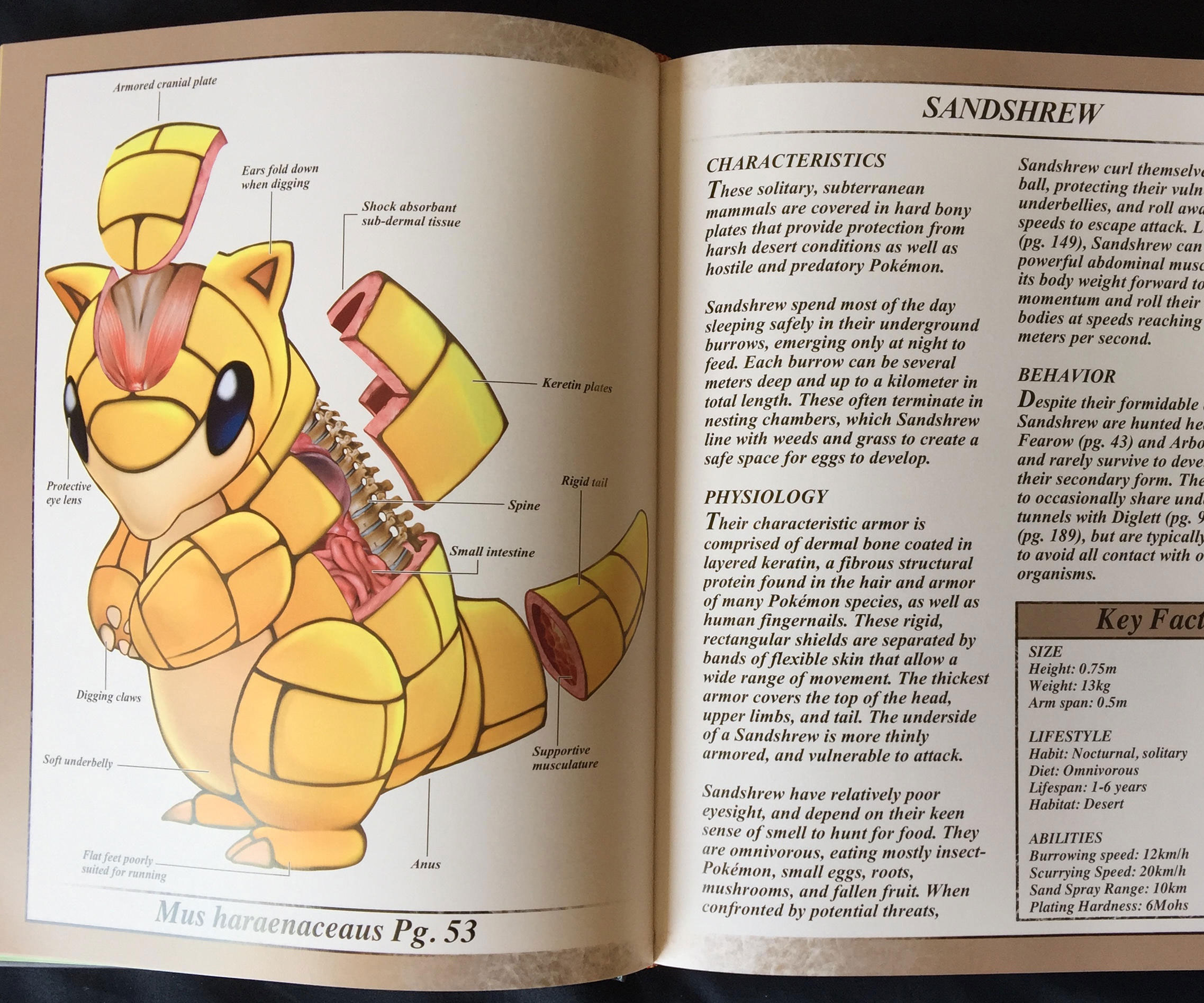 Pokemon Anatomy Book 1