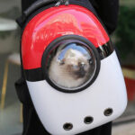 Pokemon Poke Ball Pet Carrier Backpack