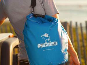 Portable Backpack Cooler | Million Dollar Gift Ideas