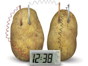 Potato Clock Science Kit | Million Dollar Gift Ideas