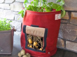 Potato Planter With Picking Flap | Million Dollar Gift Ideas