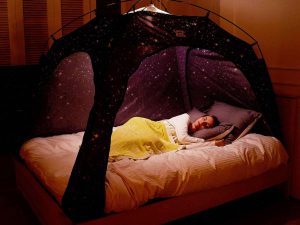 Privacy Starry Bed Tent 1