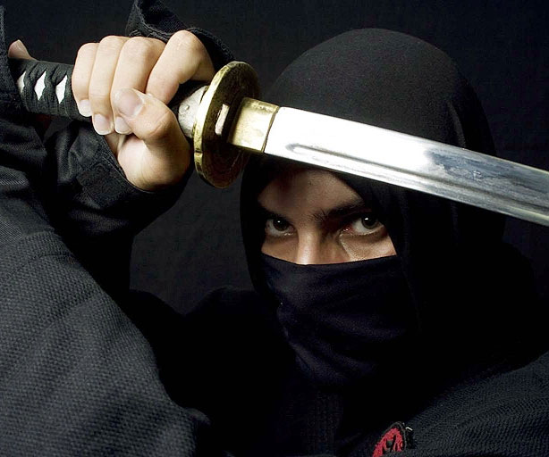 Private Ninja Lessons