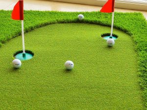 Professional Golf Putting Mat 1