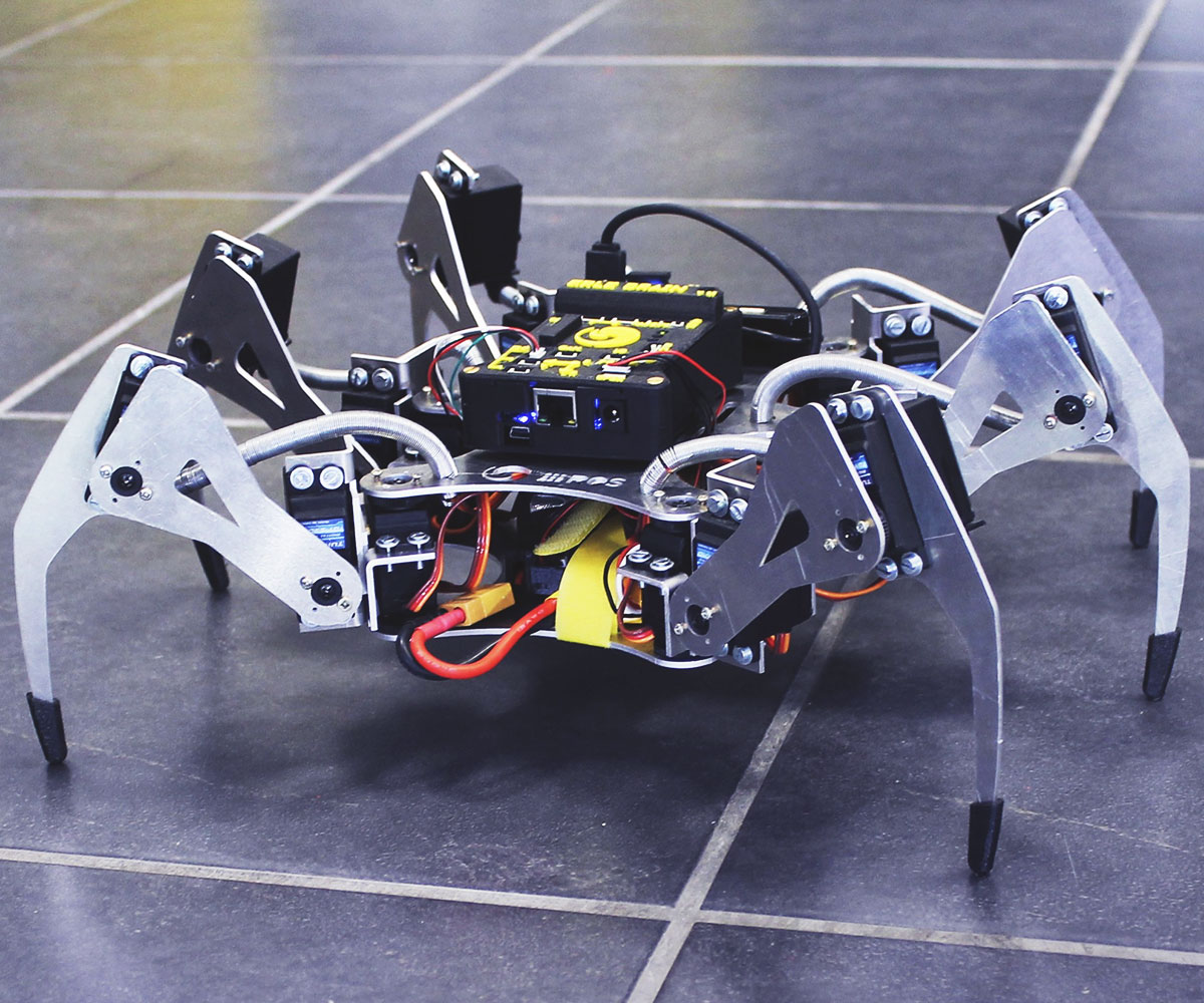 Programmable Arachnid Robot