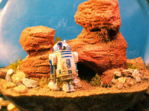 R2 D2 Tatooine Terrarium 1