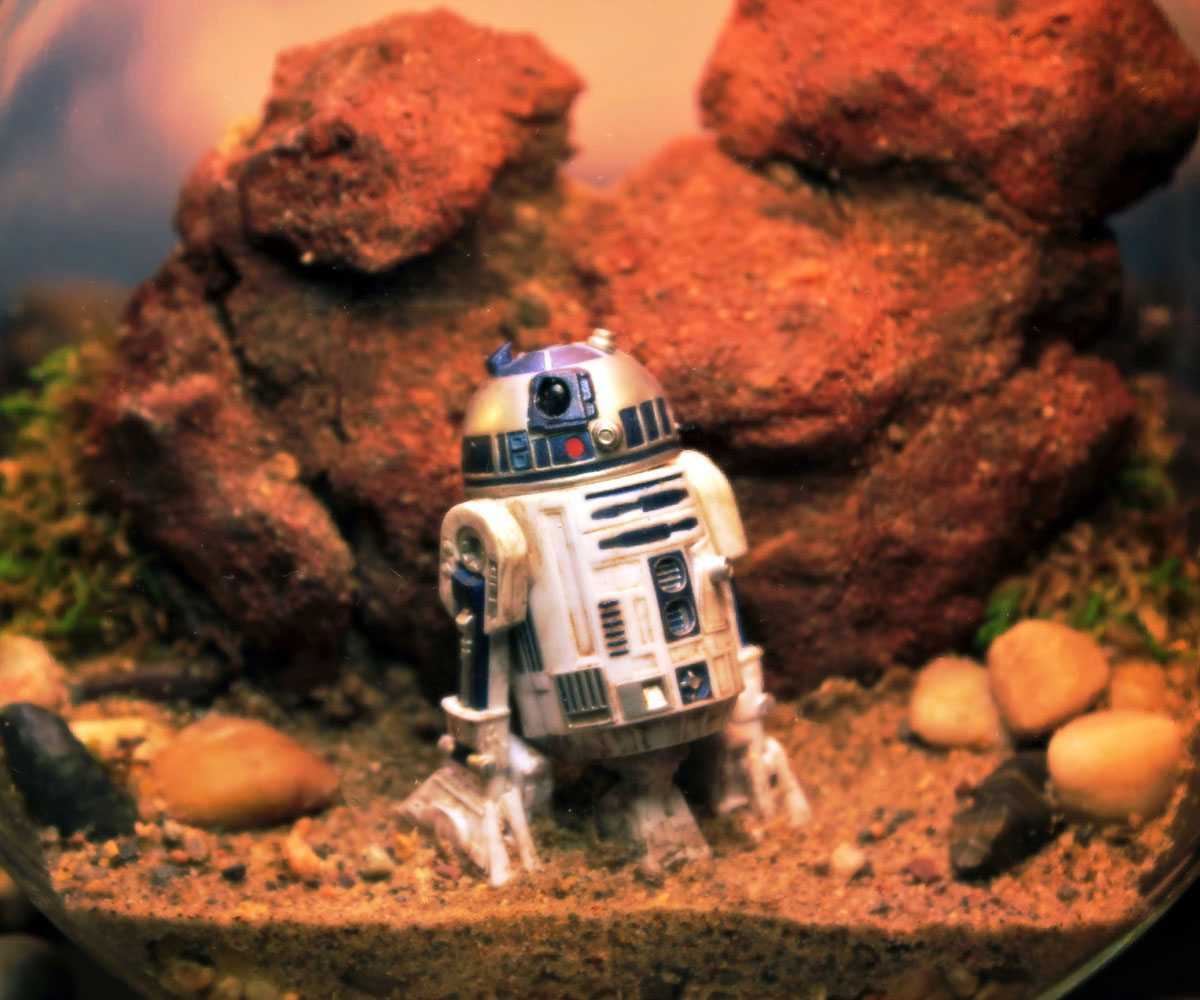 R2-D2 Tatooine Terrarium
