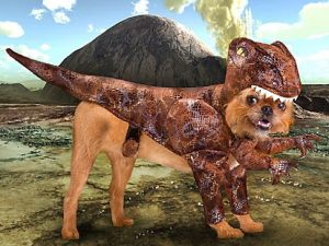Raptor Dog Costume | Million Dollar Gift Ideas