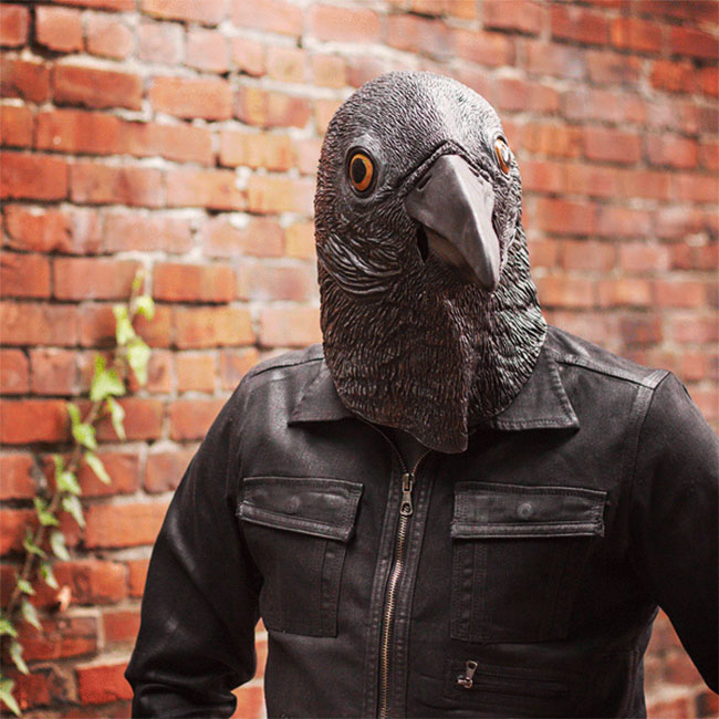 Realistic Crow Mask 1