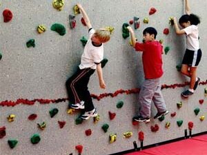 Rock Climbing Wall Panels | Million Dollar Gift Ideas