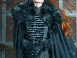 Sansa Stark Cosplay Dress | Million Dollar Gift Ideas