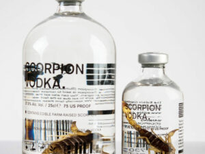 Scorpion Infused Vodka 1