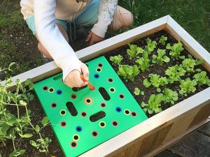 Seeding Square Kit | Million Dollar Gift Ideas