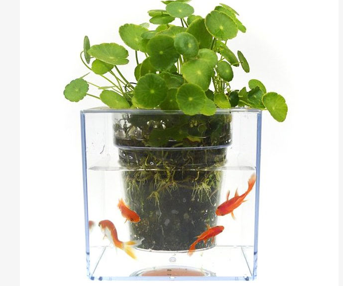 Self-Watering Fish Tank Flowerpot