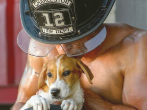 Sexy Firefighters With Puppies Calendar | Million Dollar Gift Ideas