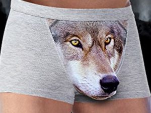 Sexy Wolf Crotch Underwear | Million Dollar Gift Ideas