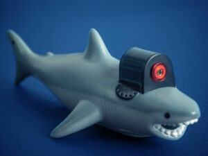 Shark Laser Pointer 1