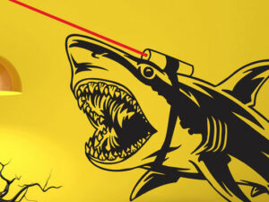 Shark With Frickin Lasers Decal | Million Dollar Gift Ideas