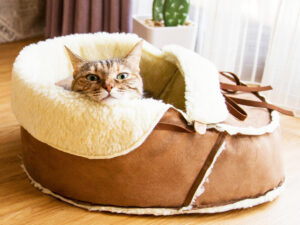 Sherpa Moccasin Pet Bed | Million Dollar Gift Ideas