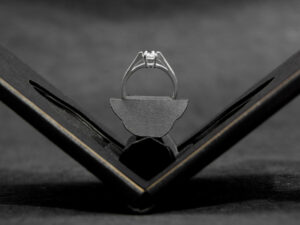 Slim Engagement Ring Case | Million Dollar Gift Ideas