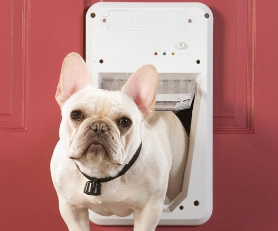 SmartKey Enabled Dog Door