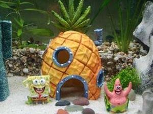 Spongebob Aquarium Ornaments | Million Dollar Gift Ideas