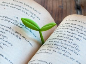 Sprout Bookmark | Million Dollar Gift Ideas