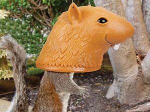 Squirrel Head Feeder | Million Dollar Gift Ideas