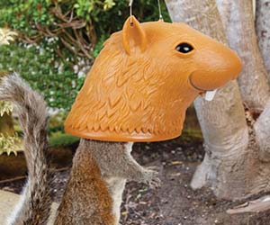 Squirrel Head Feeder