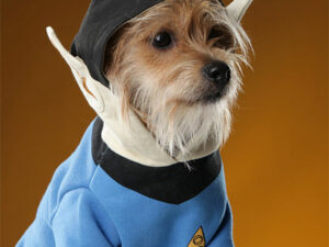 Star Trek Spock Dog Hoodie | Million Dollar Gift Ideas