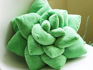 Succulent Cactus Pillow | Million Dollar Gift Ideas