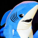 Superbowl Shark Costume