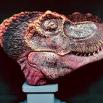 T Rex Bust Sculpture 1