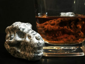 T Rex Skull Whiskey Stones 1