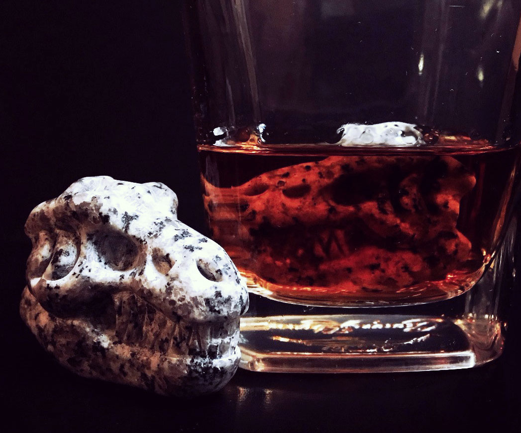 T-Rex Skull Whiskey Stones