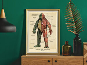 Tmnt Anatomy Poster 1