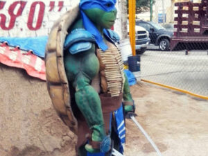 Teenage Mutant Ninja Turtle Costumes | Million Dollar Gift Ideas