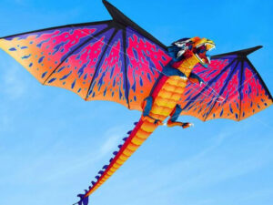 Ten Foot Wingspan Dragon Kite | Million Dollar Gift Ideas