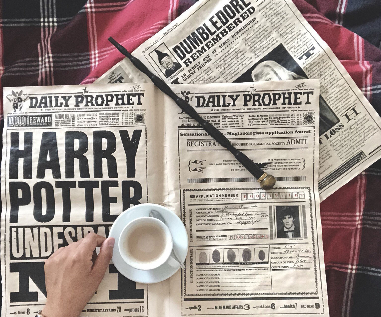 The Daily Prophet Newspaper 2