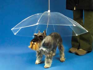 The Dog Umbrella | Million Dollar Gift Ideas