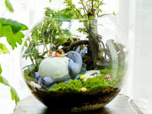 Totoro Terrarium 1