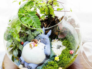 Totoro Terrarium | Million Dollar Gift Ideas