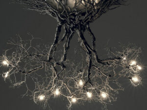Tree Root Chandelier | Million Dollar Gift Ideas