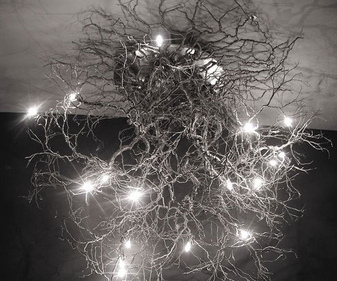 Tree Roots Ceiling Lamp 1