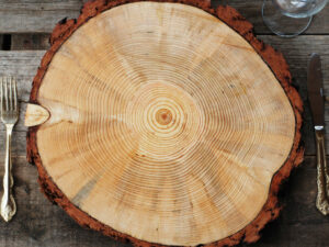 Tree Slice Charger Plate | Million Dollar Gift Ideas