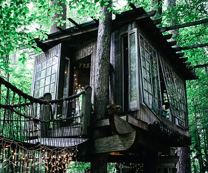Treehouse Cabin Rental 1