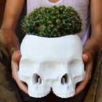 Triclops Skull Planter 1