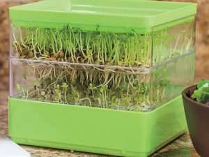 Two-Tiered Seed Sprouter | Million Dollar Gift Ideas